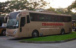 Trasnational Express Bus